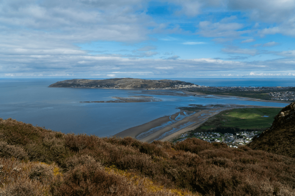 A wide shot of a coastal town in north Wales nestled beside a bay with exposed sandbanks during low tide, seen from a grassy hill covered in heather.