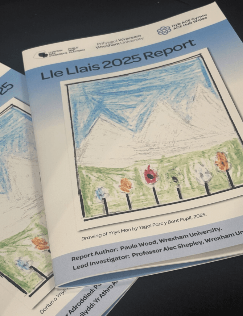 Cover of the "Lle Llais 2025 Report" featuring a child's drawing of mountains and flowers, with report details listed below.